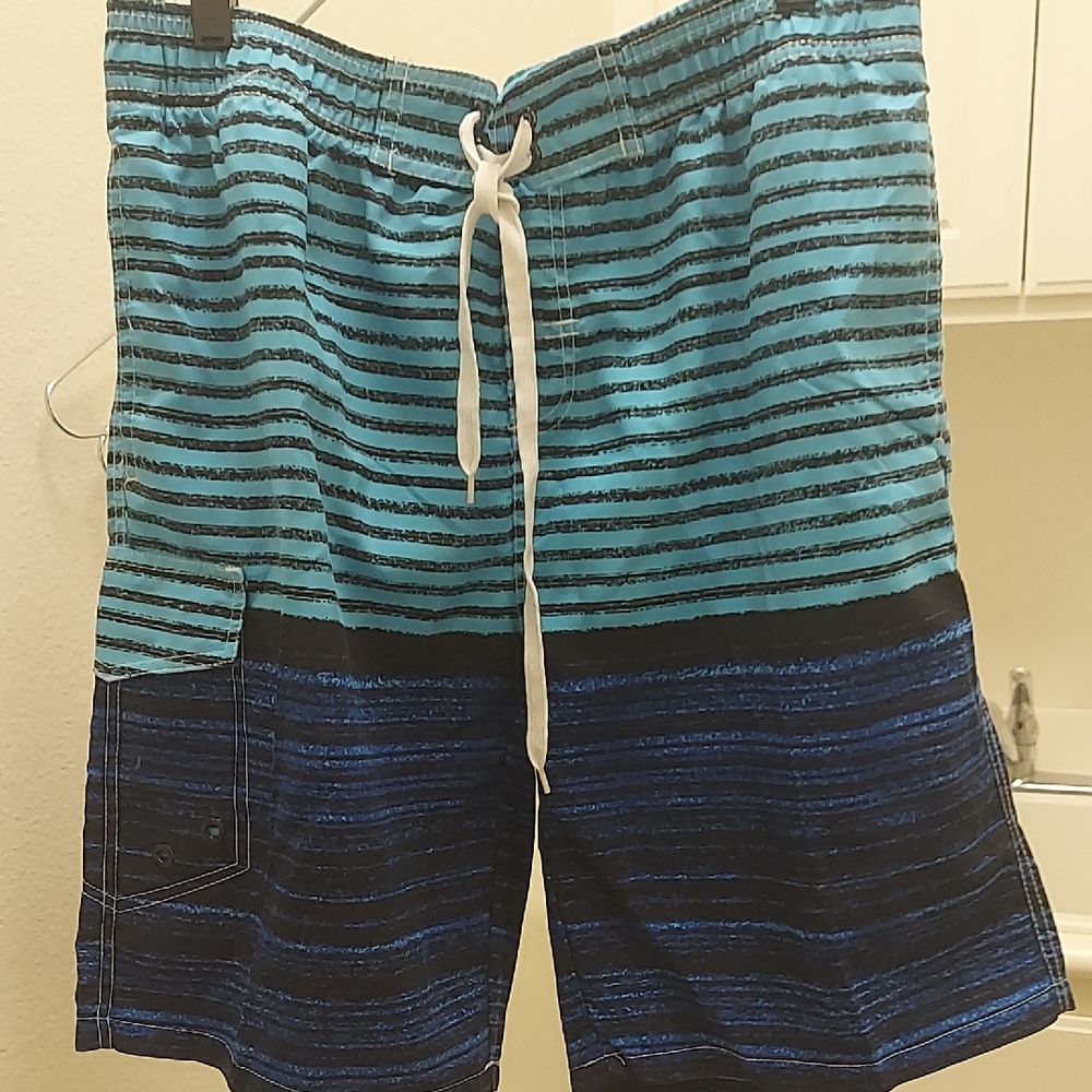 Source Unknown Men's Aqua and Navy Striped Board Shorts